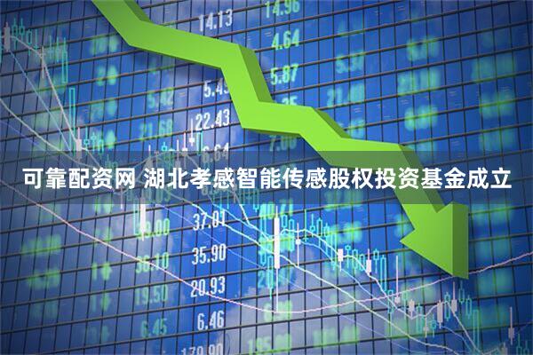 可靠配资网 湖北孝感智能传感股权投资基金成立