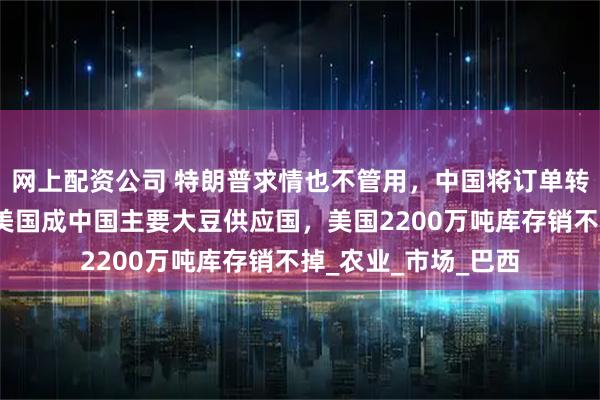 网上配资公司 特朗普求情也不管用，中国将订单转交他国，南美取代美国成中国主要大豆供应国，美国2200万吨库存销不掉_农业_市场_巴西