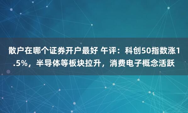散户在哪个证券开户最好 午评：科创50指数涨1.5%，半导体等板块拉升，消费电子概念活跃