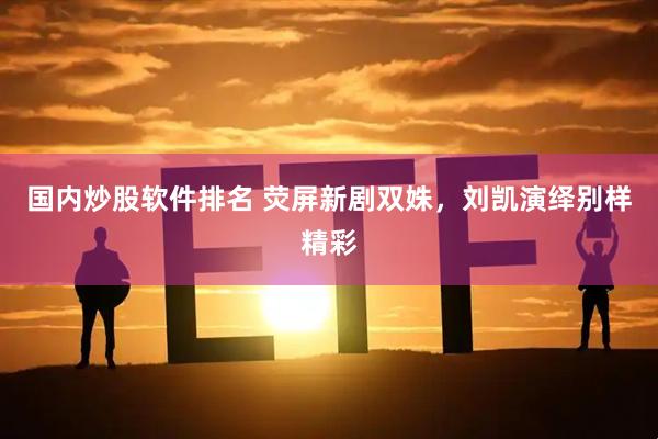 国内炒股软件排名 荧屏新剧双姝，刘凯演绎别样精彩